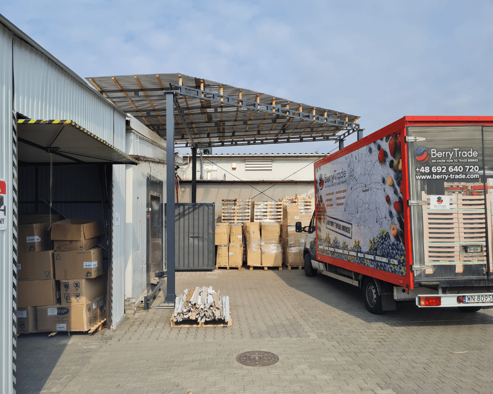 Sortownia borówki - usługi remontowo budowlane na terenie całej Polski PaketPro